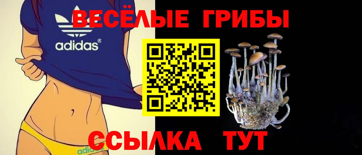 как найти закладки  Псилоцибиновые грибы прущие грибы  Ефремов  Вход с VPN  Псилоцибиновые грибы Magic Shrooms 