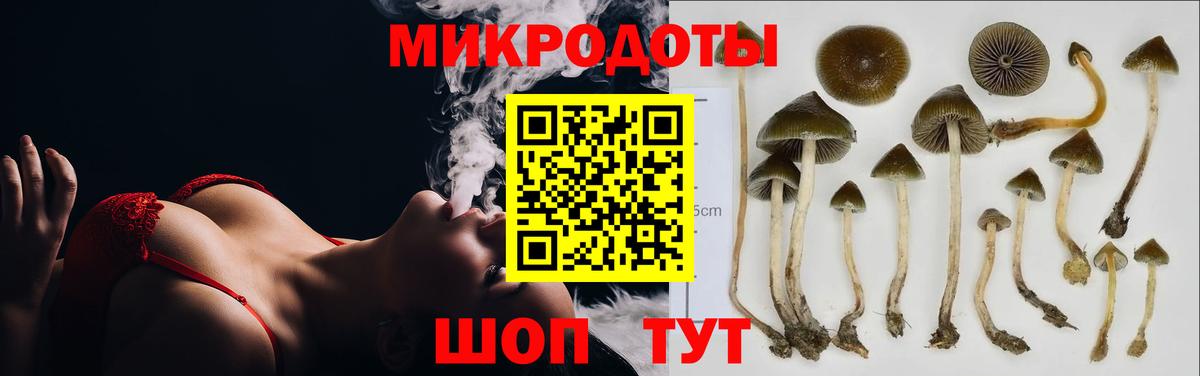Псилоцибиновые грибы ЛСД Ефремов