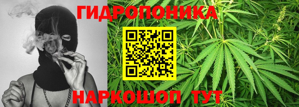 Бошки марихуана Bruce Banner  Канабис тримм  Бошки марихуана AK-47  Вход с VPN  Ефремов 